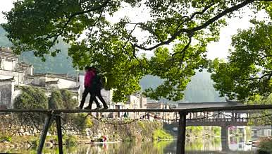 行走在乡间独木桥上视频的预览图